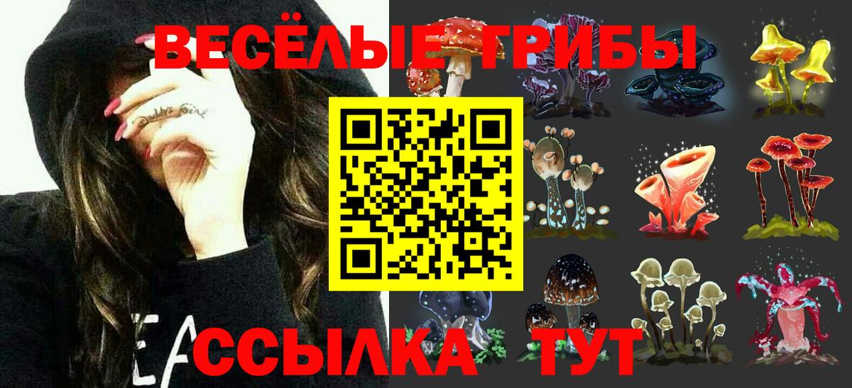 Новочеркасск  Галлюциногенные грибы MAGIC MUSHROOMS  Вход с VPN 